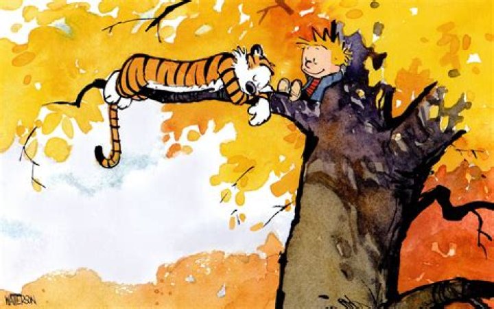 Calvin Calvin